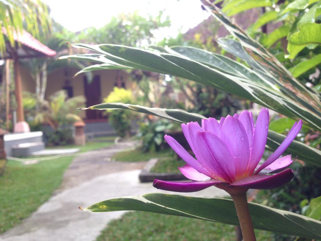 Dimuwa Ubud Bilik gambar