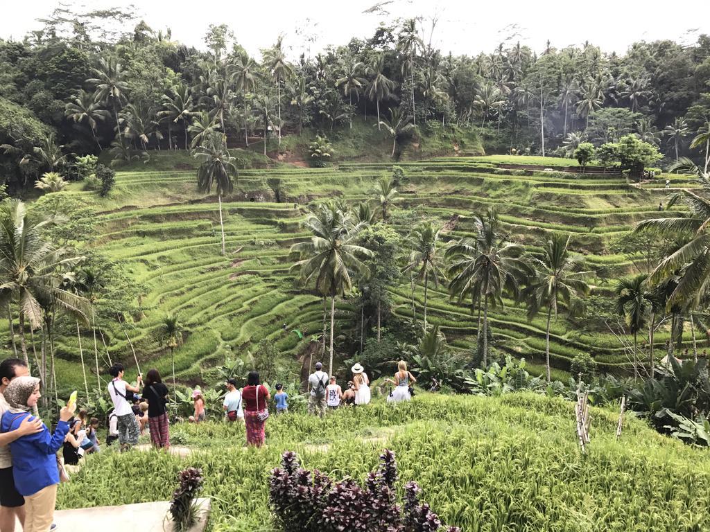 Dimuwa Ubud Luaran gambar